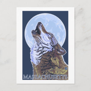 Cartão Postal Massachusetts Howling Wolf