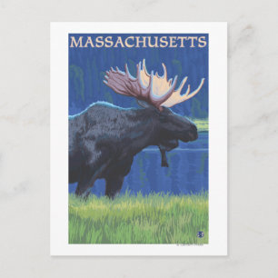 Cartão Postal Massachusetts Moose no Luar