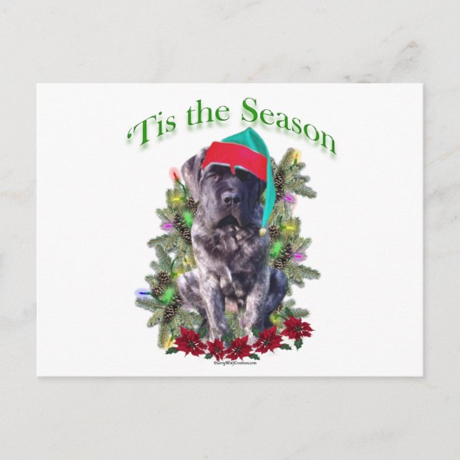 Cartão Postal Mastiff 3 "Tis (Frente)