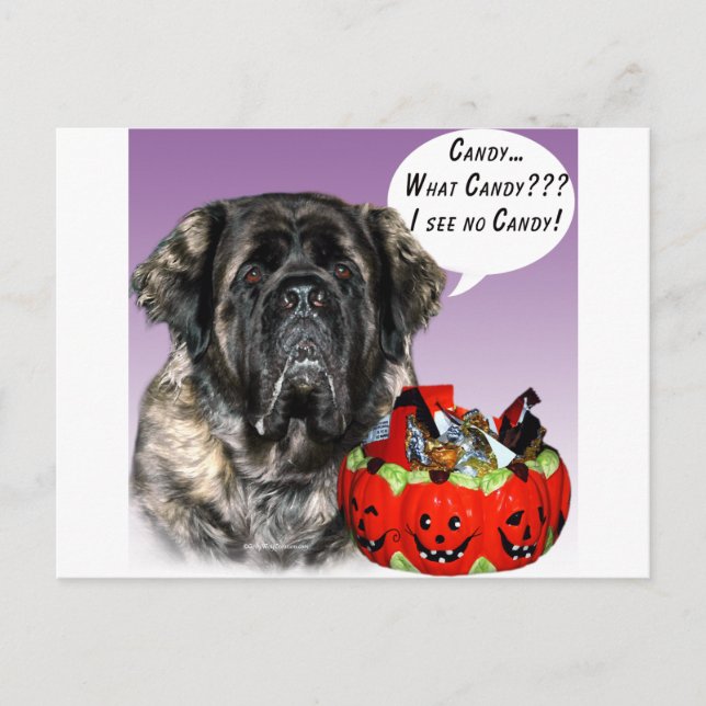 Cartão Postal Mastiff (fluffy) Halloween Candy (Frente)