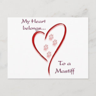 Cartão Postal Mastiff Heart Pertence