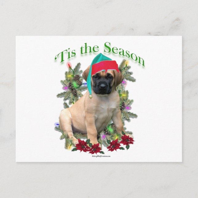 Cartão Postal Mastiff "Tis (Frente)