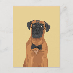 Cartão Postal Mastim Bull para Amantes de Cachorros Hipster