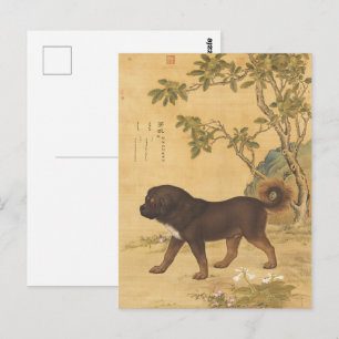 Cartão Postal Mastim Tibetano Vintage Arte Imperial Chinesa
