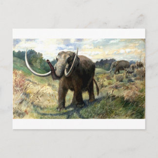 Cartão Postal mastodonte-1