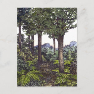 Cartão Postal Mata Atlântica da Nova Zelândia