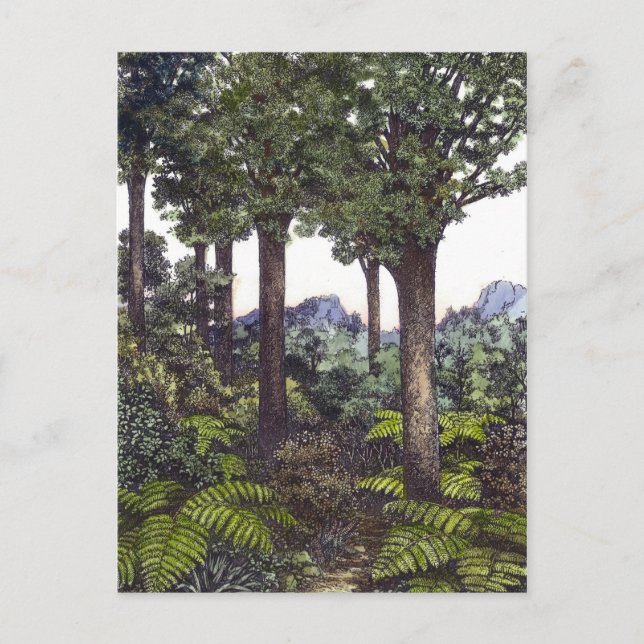 Cartão Postal Mata Atlântica da Nova Zelândia (Frente)