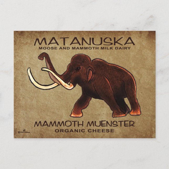 Cartão Postal Matanuska Mammoth Muenster Cheese (Frente)