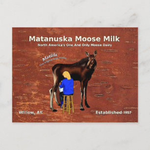 Cartão Postal Matanuska Moose Milk