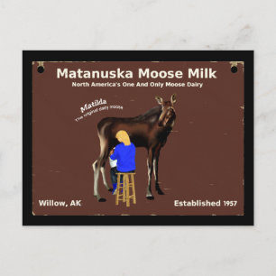 Cartão Postal Matanuska Moose Milk