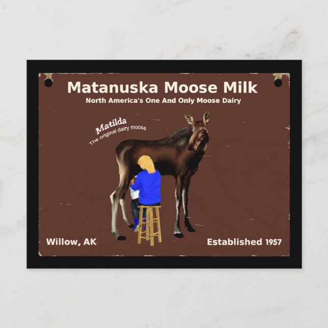 Cartão Postal Matanuska Moose Milk (Frente)