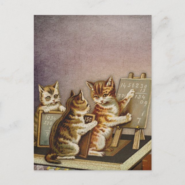 Cartão Postal Matemática de gatos (Frente)