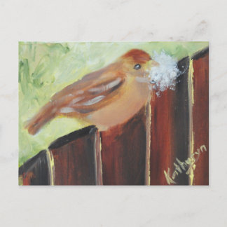 Cartão Postal Materiais do ninho