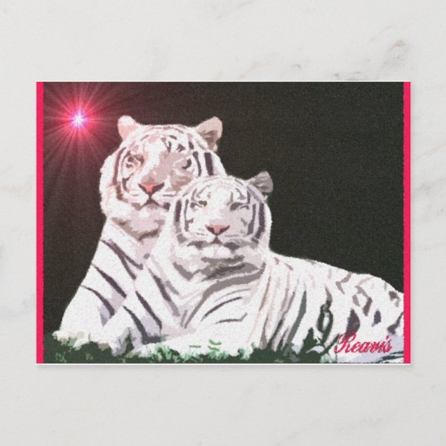 CARTÃO POSTAL MATÉRIAS DE ALMA (Frente)