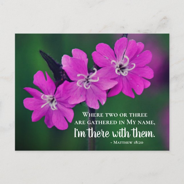 Cartão Postal Matthew 18:20 Duas ou Três se reúnem em meu nome (Frente)