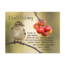 Matthew 6:26 Bíblia Verse, não se preocupe