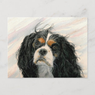 Cartão Postal Mattie, o Rei Charles Cavalier Spaniel