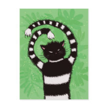 Mau Gatinho Natureza do Gato