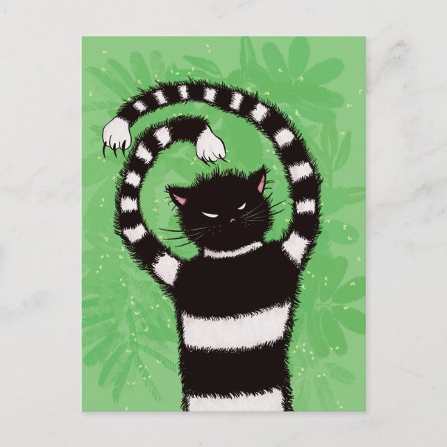 Cartão Postal Mau Gatinho Natureza do Gato (Frente)