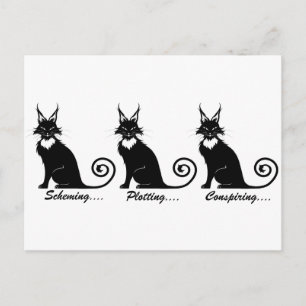 Cartão Postal Mau Plotting Cat Trio