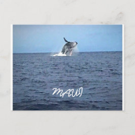 Cartão Postal Maui