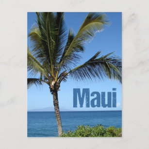 Cartão Postal Maui Hawaii Linda Árvore Palm Oceânica