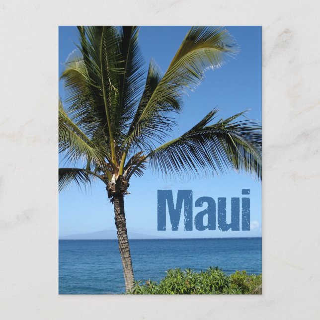 Cartão Postal Maui Hawaii Linda Árvore Palm Oceânica (Frente)