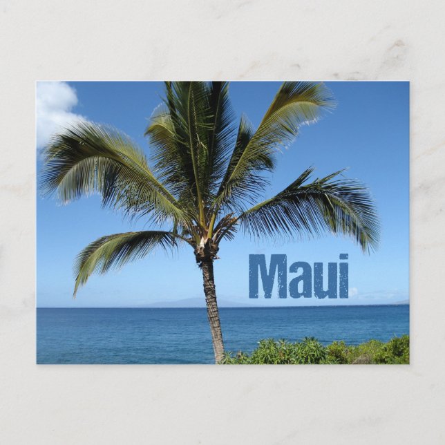 Cartão Postal Maui Hawaii Palm Tree Scenic (Frente)