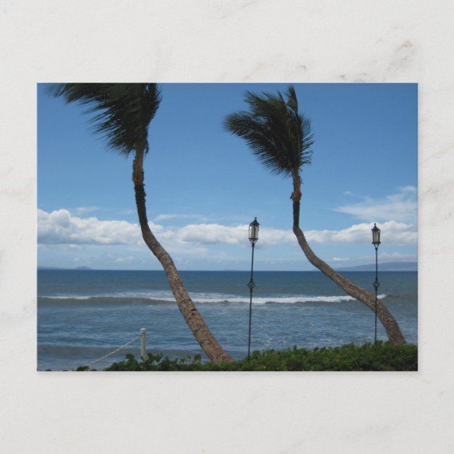 Cartão postal Maui Palms Ocidental (Frente)