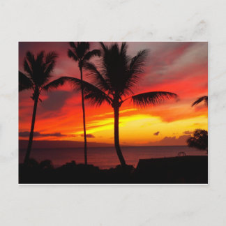 CARTÃO POSTAL MAUI SUNSET 2