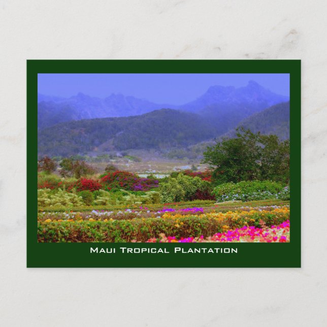 Cartão Postal Maui Tropical Plantation West Maui Mountain (Frente)