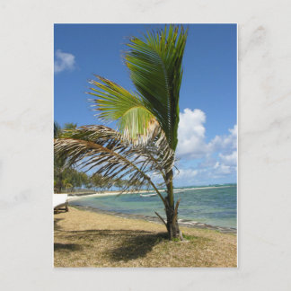 Cartão Postal Maurícia