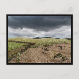 Cartão Postal Maurício / Maurice