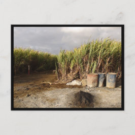 Cartão Postal Maurício / Maurice