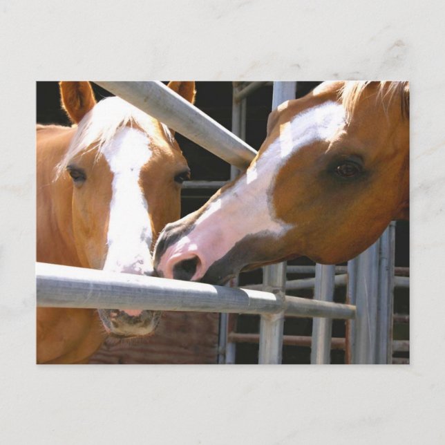 Cartão Postal Max e seu filho Leonardo (Frente)