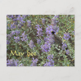 Cartão Postal May Bee
