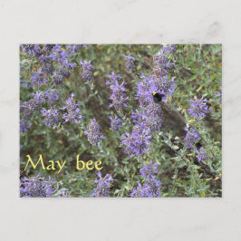 Cartão Postal May Bee