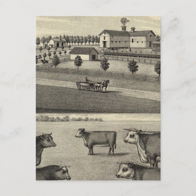 Cartão Postal McDonald Fazenda, Nebraska (Frente)