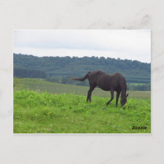 Cartão Postal Meadow of Love