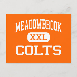 Cartão Postal Meadowbrook - Colts - Segundo grau - Byesville Ohi