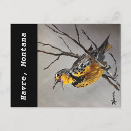 Cartão postal Meadowlark