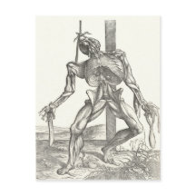 Medicina de Anatomia do cadáver do esqueleto