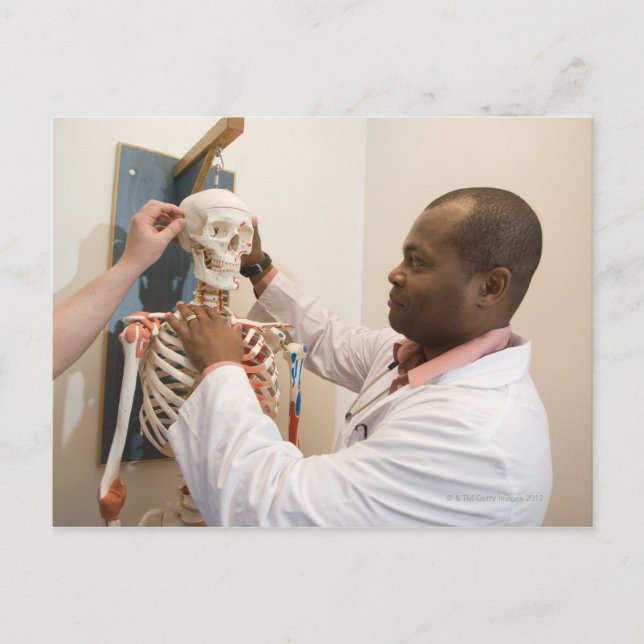 Cartão Postal Médicos estudantes estudando anatomia em esqueleto (Frente)