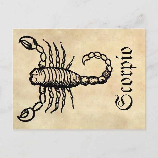 Cartão Postal Medieval Renascentista Símbolo Zodiac Scorpio (Frente)
