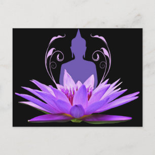 Cartão Postal Meditação de Flor de Lotus Puro
