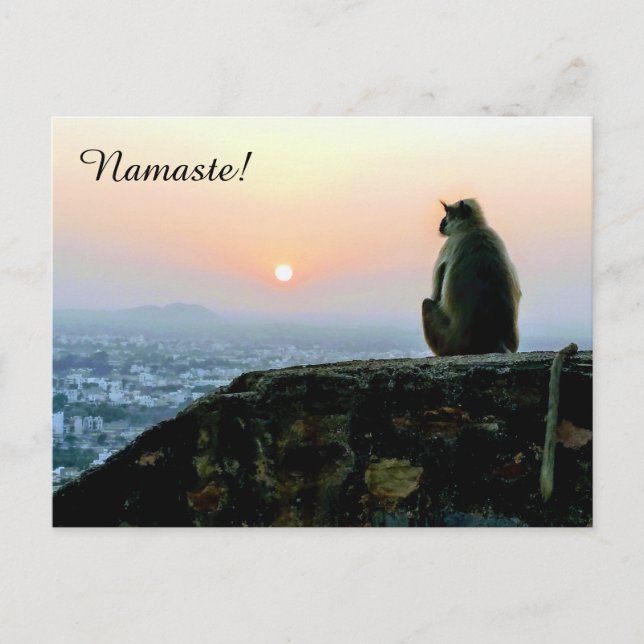 Cartão Postal Meditação de Namaste - Macaco Yoga na Índia ao pôr (Frente)