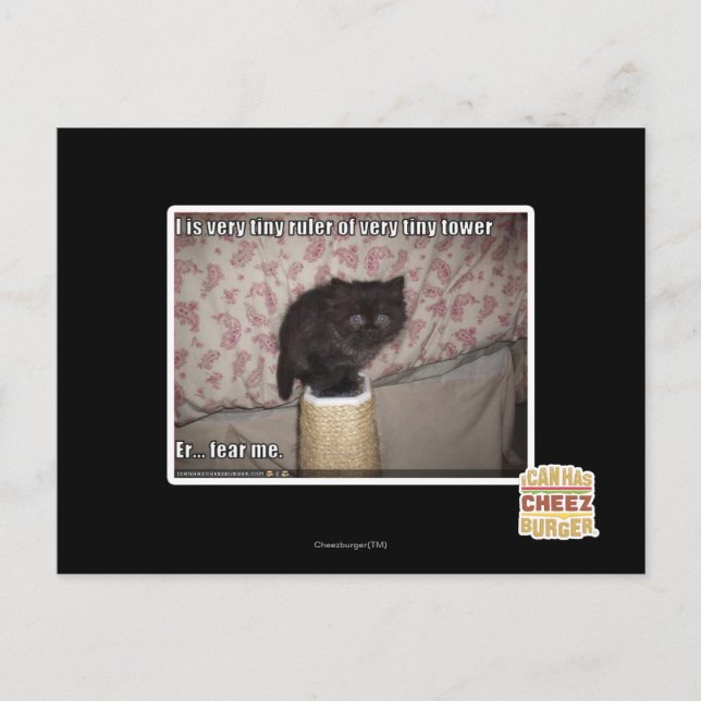 Cartão Postal Medo de mim (Frente)