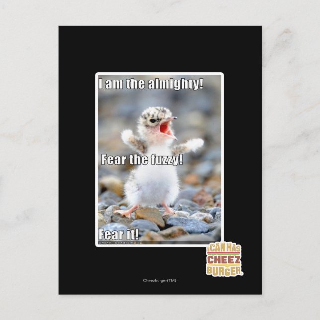 Cartão Postal Medo do Felpudo! (Frente)