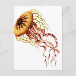 Cartão Postal medusa