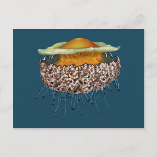 Cartão Postal medusa-do-ovo Fritada Ilustrada